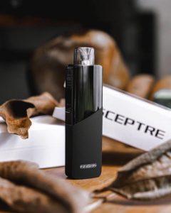 12 Best E Cigarettes For New Vapers In 2021