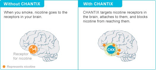 Chantix Effect on Brain