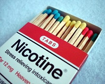 Studies on Nicotine