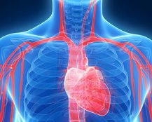 Most E-Cig Vapor Poses No Risk to Heart Cells