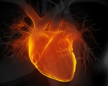 E-Cig Effects on Acute Heart Function