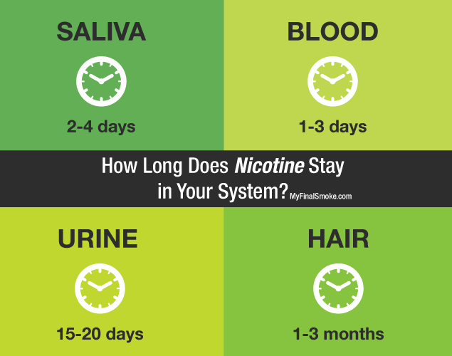 how long does nicotine stays in the body