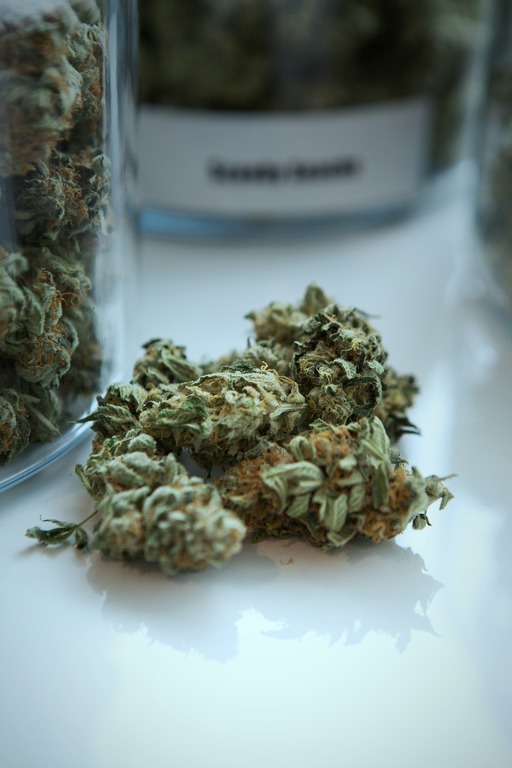 Cannabis and marijuana in a laboratory