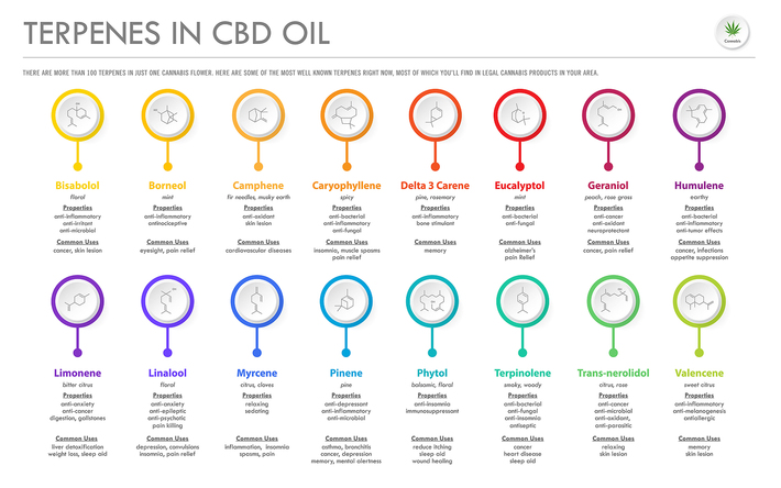 chart of all terpenes found in CBD oil